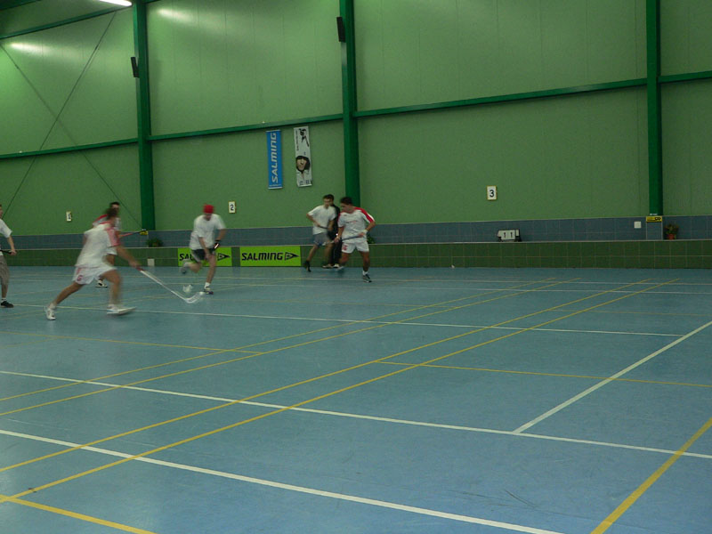P1060196.jpg